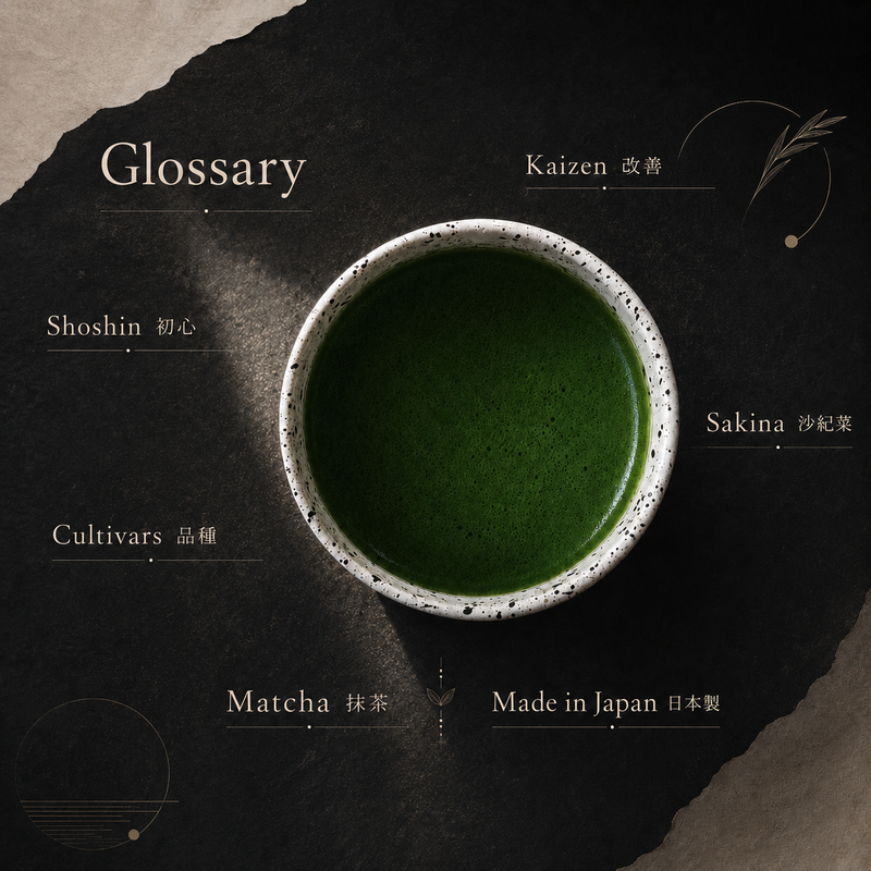 Zenbumi Glossary